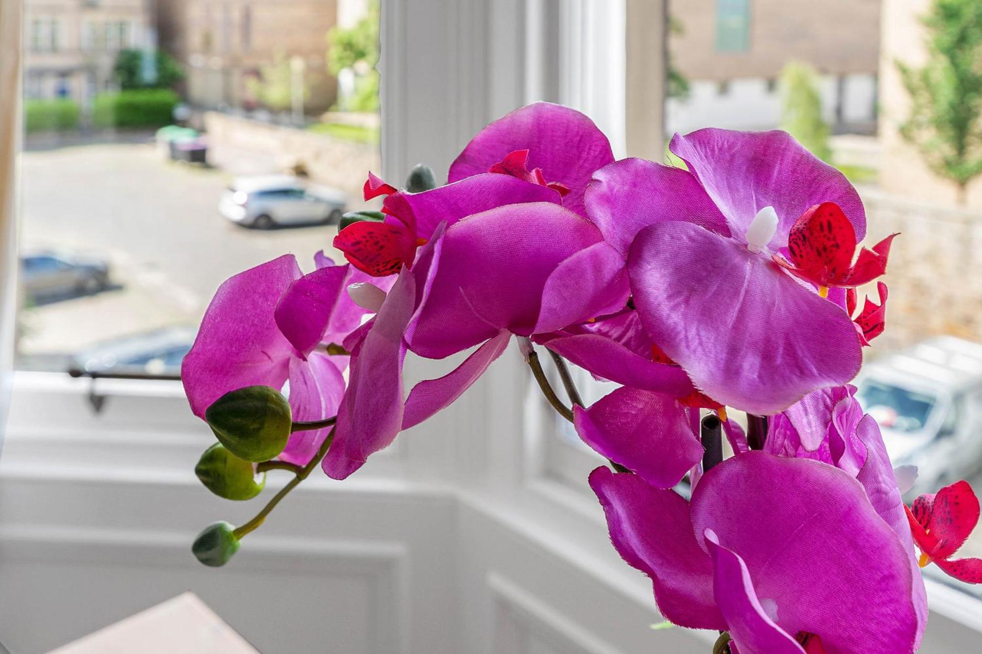 Marchmont Traditional Apartments エディンバラ エクステリア 写真